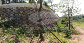 金沙(8087-js认证)娱场城-Officialwebsite