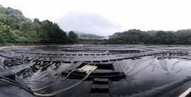 金沙(8087-js认证)娱场城-Officialwebsite